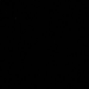 Meet your Posher, Jamel